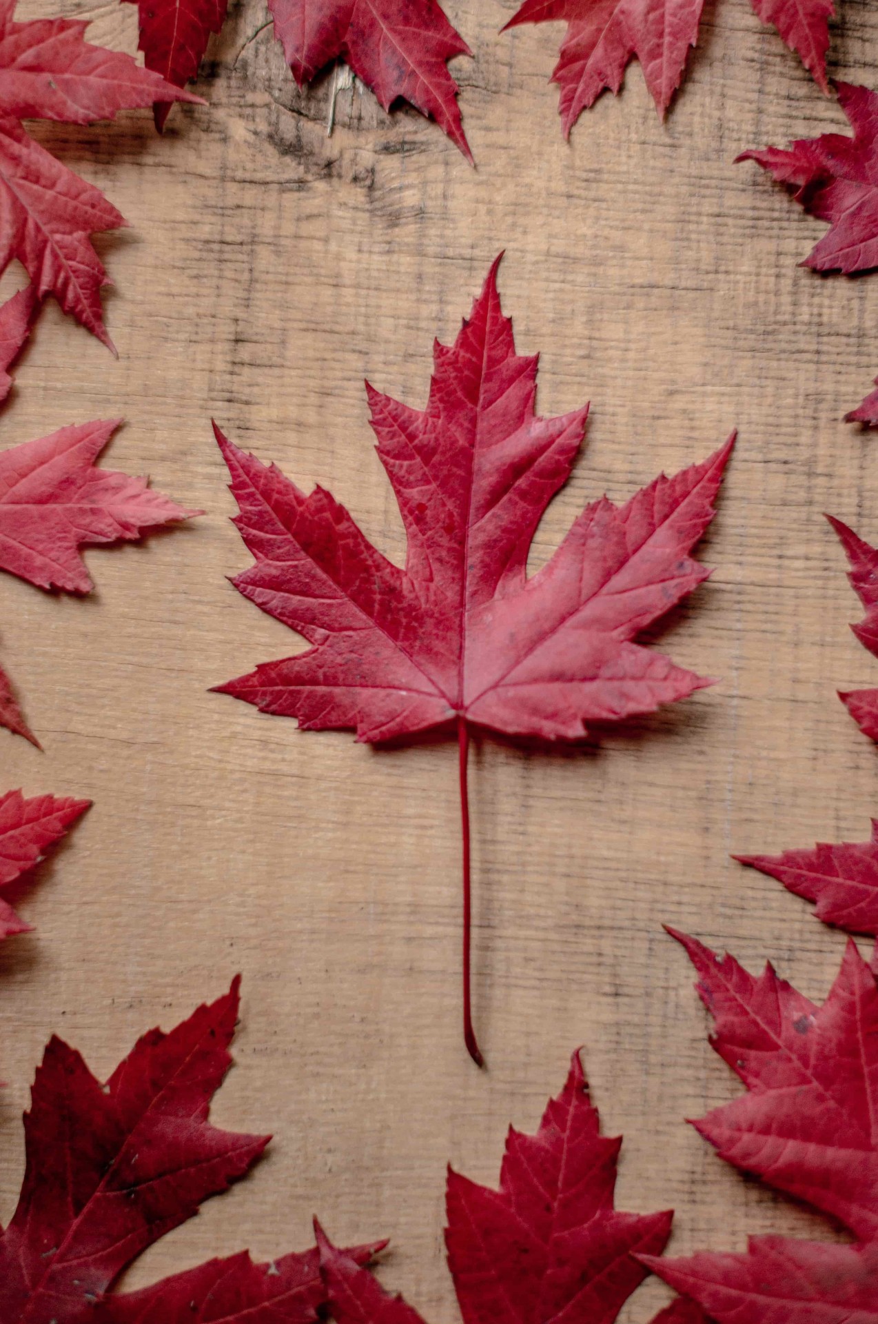 Kanada, Küresel İş-Yaşam Dengesi Endeksi’nde Dünya Genelinde İlk 10’da Yer Aldı